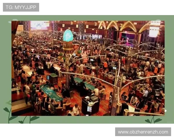 全面解析真人实体赌场的安全保障措施与玩家权益保护策略